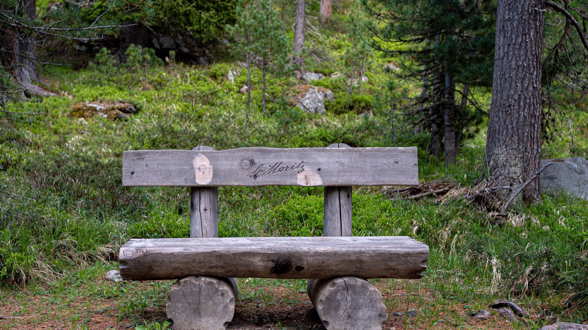 A rustic wooden bench engraved with 'St. Moritz' in a quiet Engadin forest